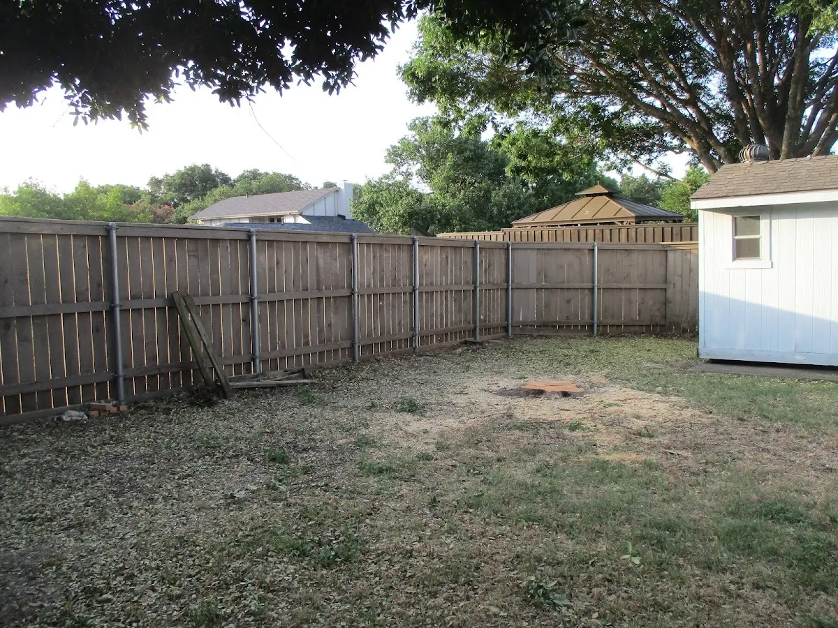 Cleared yard after professional tree removal in Owings Mills