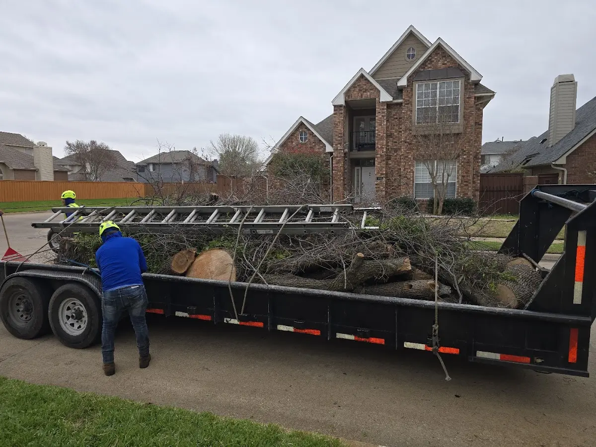 Expert Tree Removal with proper safety equipment in Owings Mills